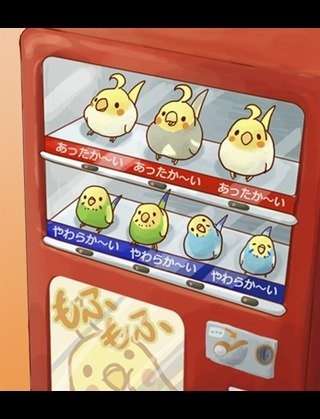 明るい気持ちになれる画像ください。