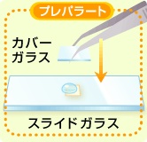 メンタル強いですか？