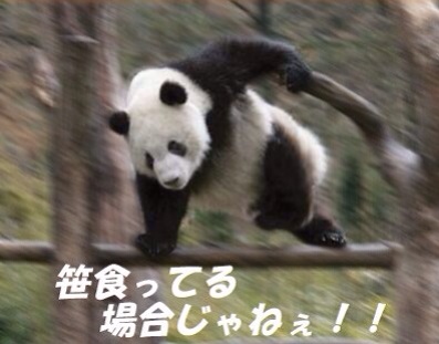 すごい!!!と、言いたいこと