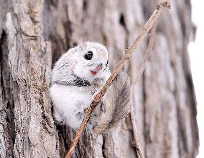 内閣府職員ゴムボート変死事件、韓国国内で事件に巻き込まれたか？