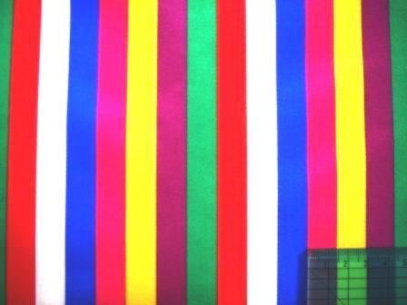 内閣府職員ゴムボート変死事件、韓国国内で事件に巻き込まれたか？