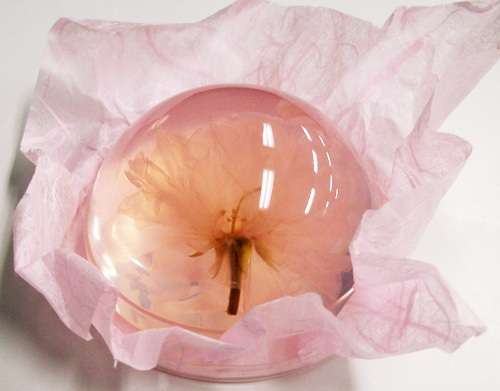 かわいい、きれいなお菓子の画像ください!