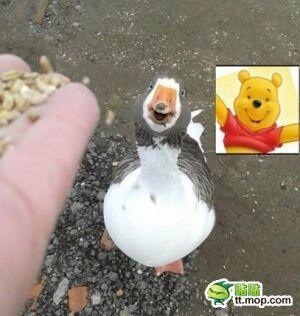 羽生結弦選手の為にディズニーが「羽生くんコーナー」を作るw