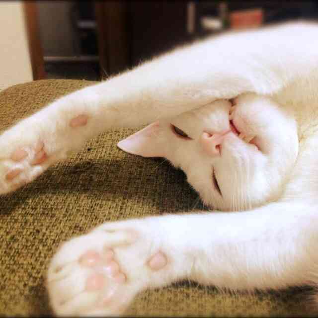 春から環境が変わる方いますか？