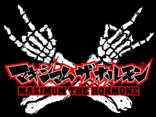 大好きなバンド!!