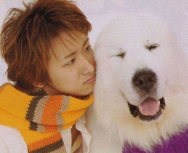 好きな芸能人のお気に入り写真を貼るトピ