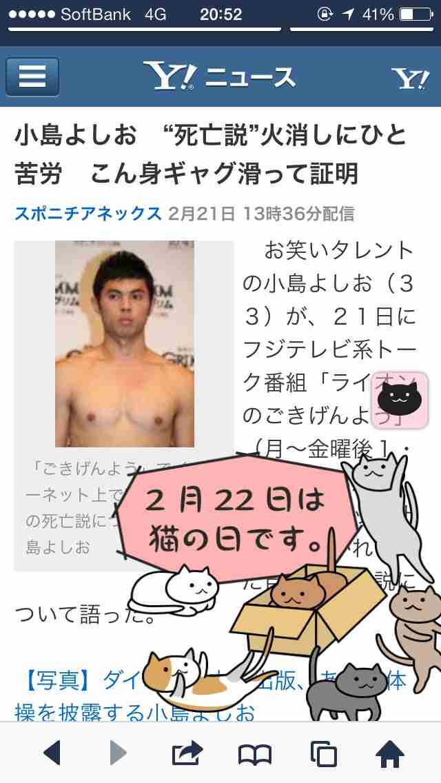 2月22日、猫の日です＊猫の画像貼っていきましょう(*´∀`)♪