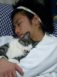 2月22日、猫の日です＊猫の画像貼っていきましょう(*´∀`)♪