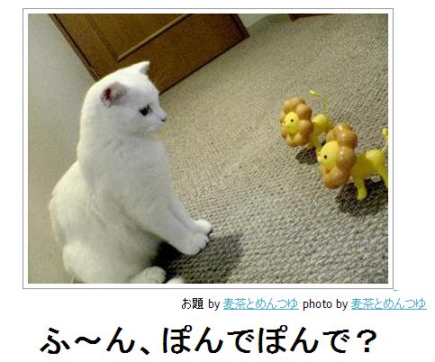 2月22日、猫の日です＊猫の画像貼っていきましょう(*´∀`)♪