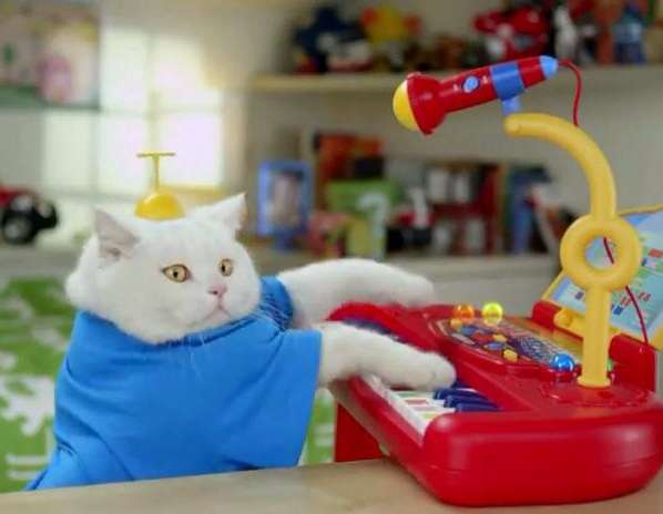 2月22日、猫の日です＊猫の画像貼っていきましょう(*´∀`)♪