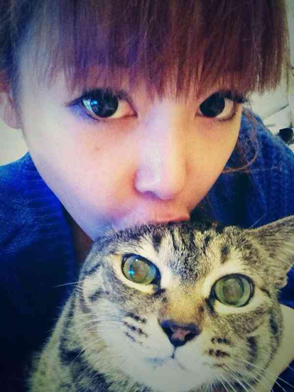 2月22日、猫の日です＊猫の画像貼っていきましょう(*´∀`)♪
