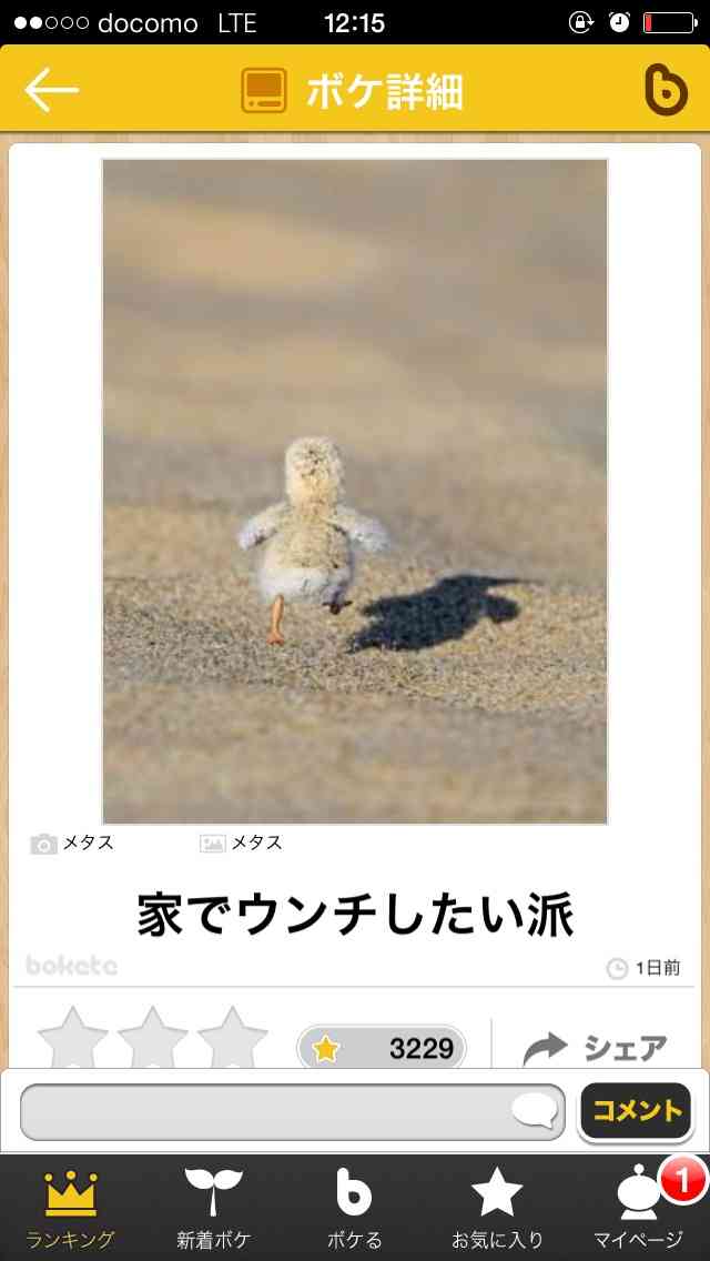 今年初!?の「ボケて」貼っていこう!!!