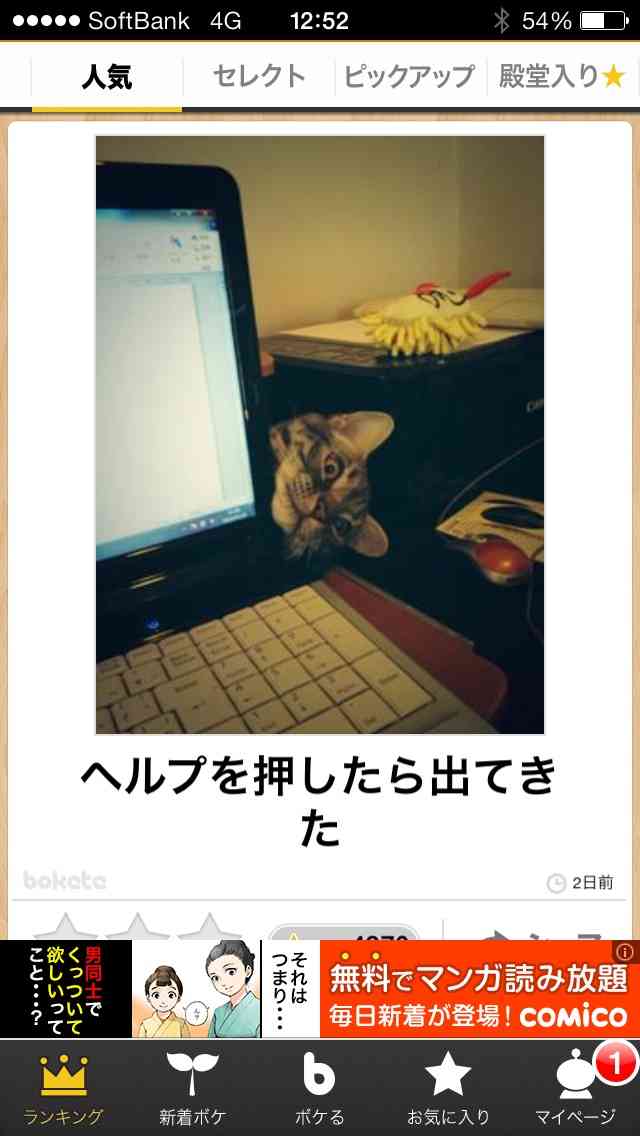 今年初!?の「ボケて」貼っていこう!!!