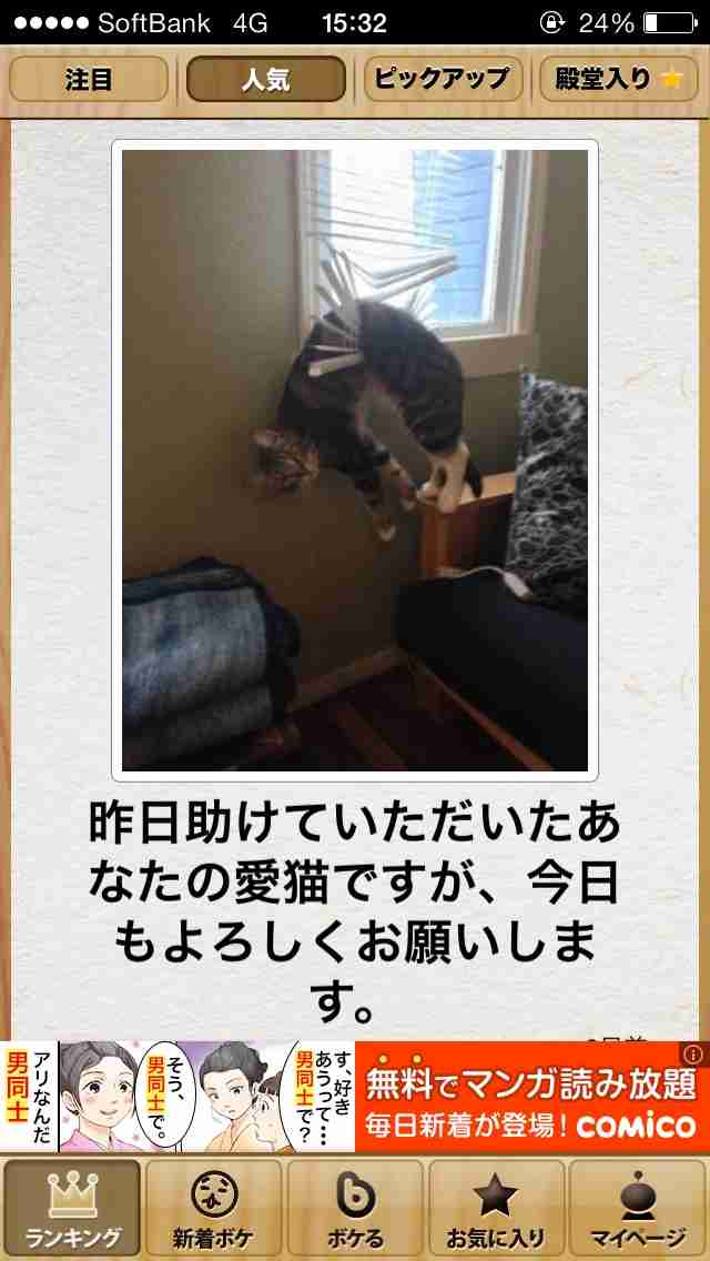 今年初!?の「ボケて」貼っていこう!!!