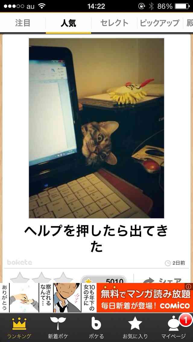 今年初!?の「ボケて」貼っていこう!!!