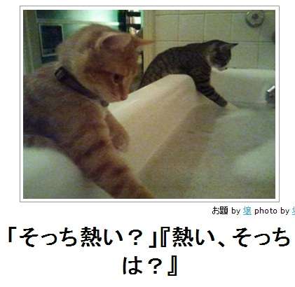 今年初!?の「ボケて」貼っていこう!!!