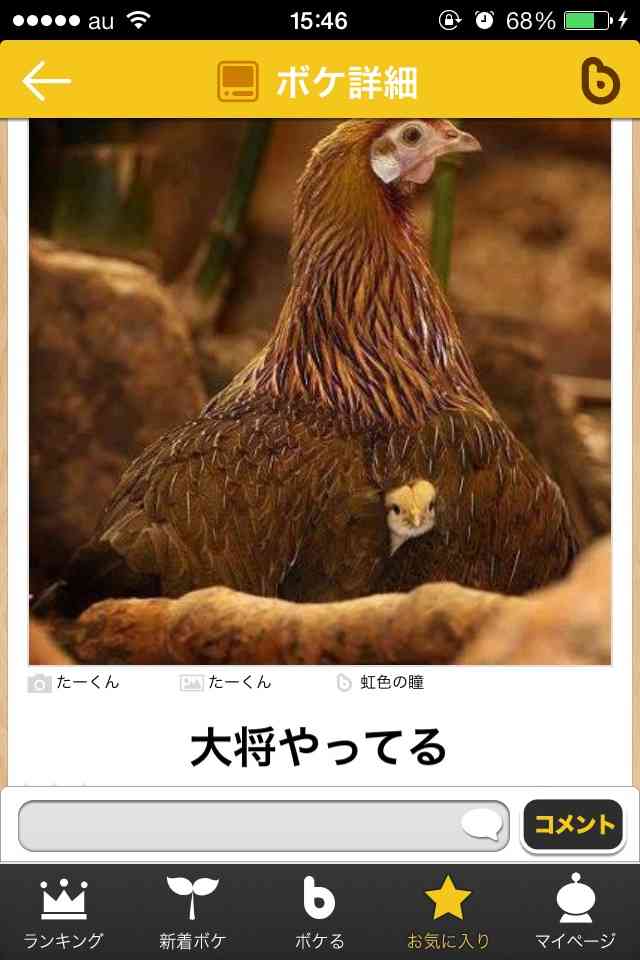 今年初!?の「ボケて」貼っていこう!!!