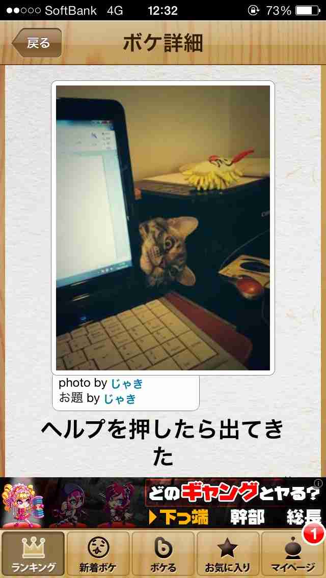 今年初!?の「ボケて」貼っていこう!!!