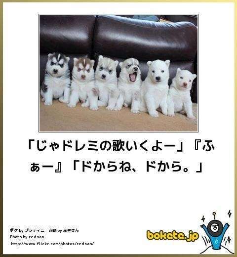 今年初!?の「ボケて」貼っていこう!!!