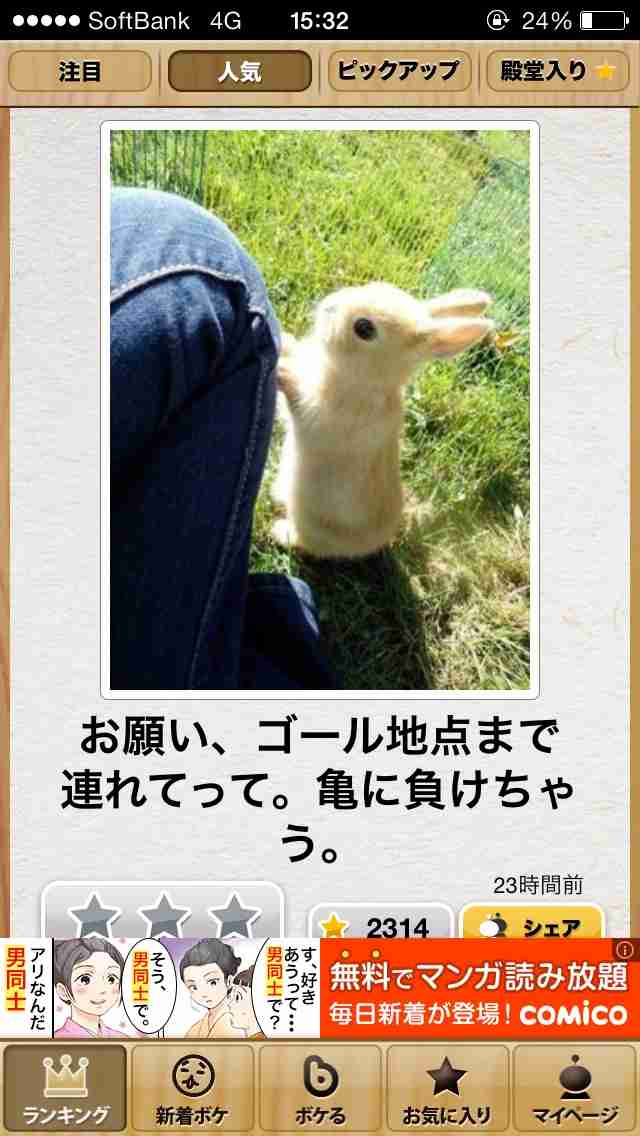 今年初!?の「ボケて」貼っていこう!!!