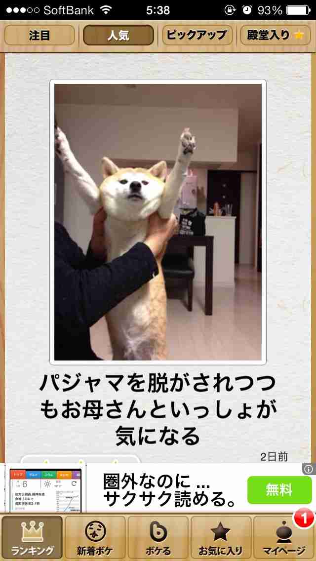 今年初!?の「ボケて」貼っていこう!!!