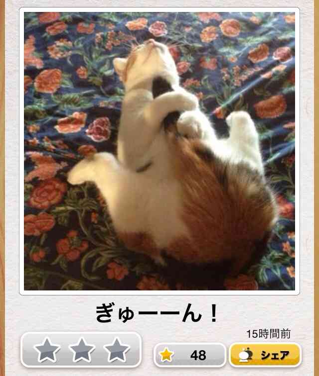 今年初!?の「ボケて」貼っていこう!!!