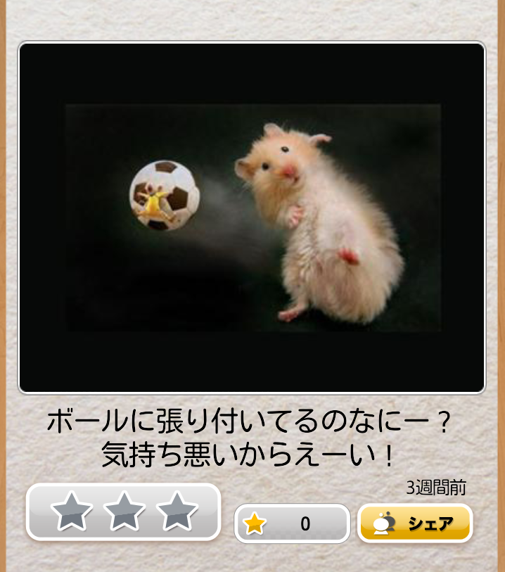 今年初!?の「ボケて」貼っていこう!!!