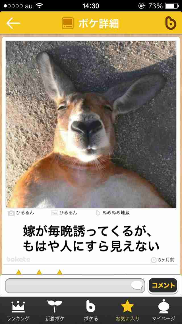 今年初!?の「ボケて」貼っていこう!!!