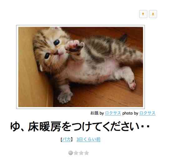今年初!?の「ボケて」貼っていこう!!!