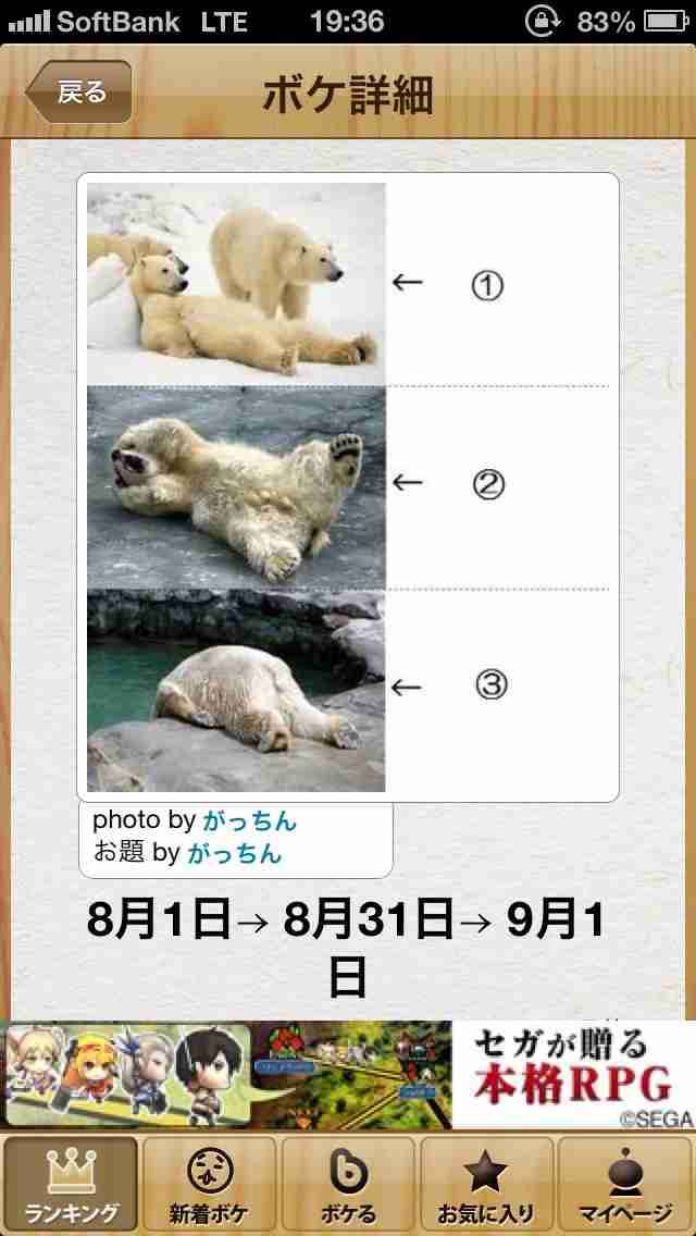 今年初!?の「ボケて」貼っていこう!!!