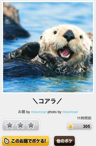今年初!?の「ボケて」貼っていこう!!!