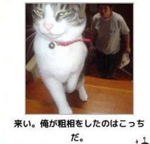 今年初!?の「ボケて」貼っていこう!!!