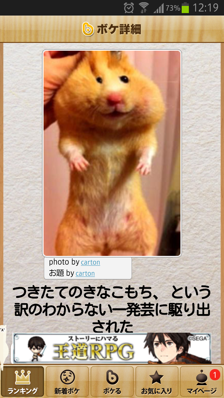 今年初!?の「ボケて」貼っていこう!!!