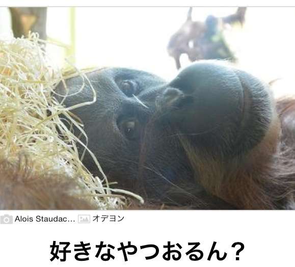 今年初!?の「ボケて」貼っていこう!!!