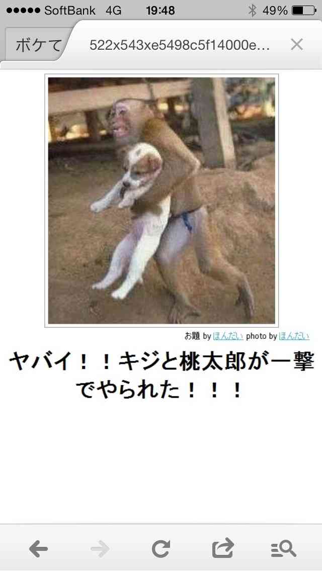 今年初!?の「ボケて」貼っていこう!!!
