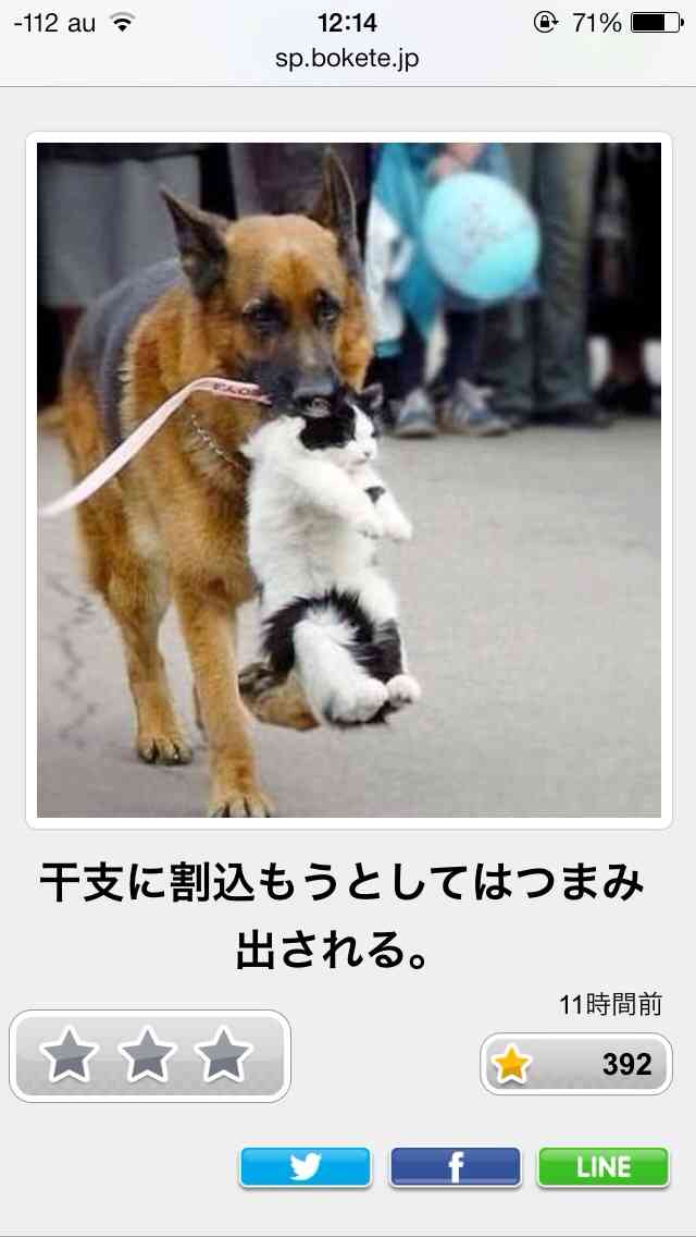 今年初!?の「ボケて」貼っていこう!!!