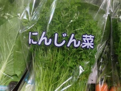 食費節約のために活用したい3大食材 …1位「もやし」・2位「豆腐」・3位「鶏むね肉」