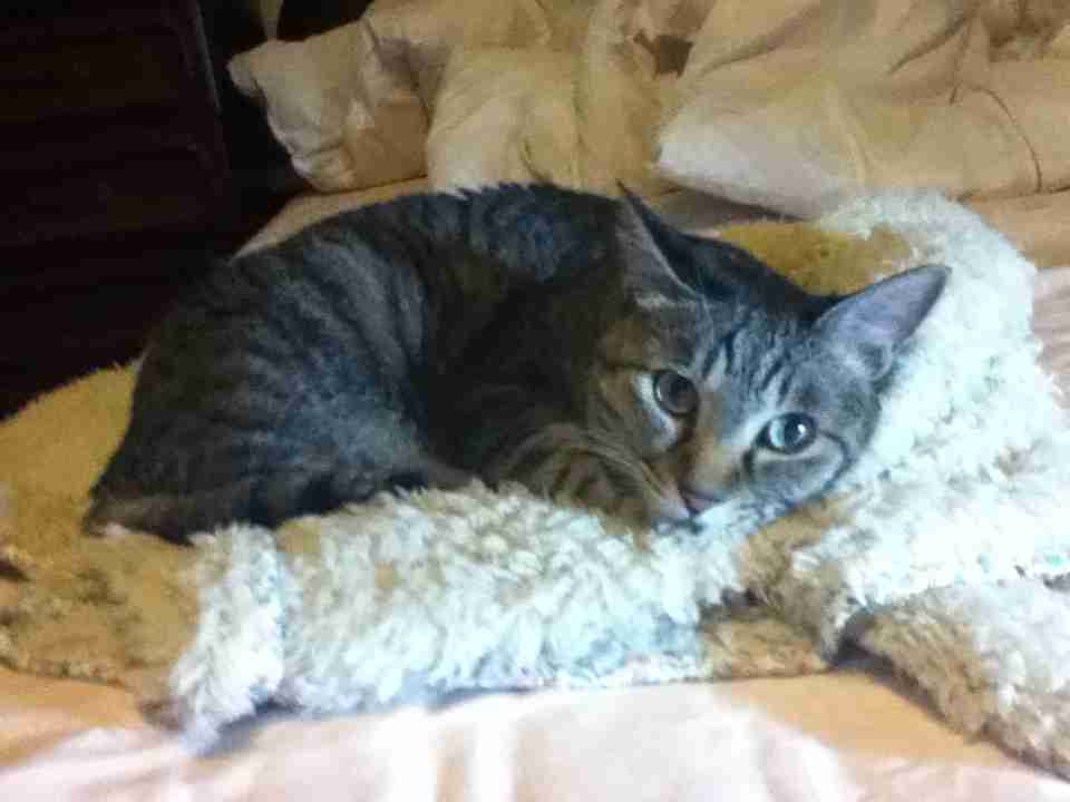 起きた瞬間から疲れてる…それって睡眠中にアレをしてるせいかも