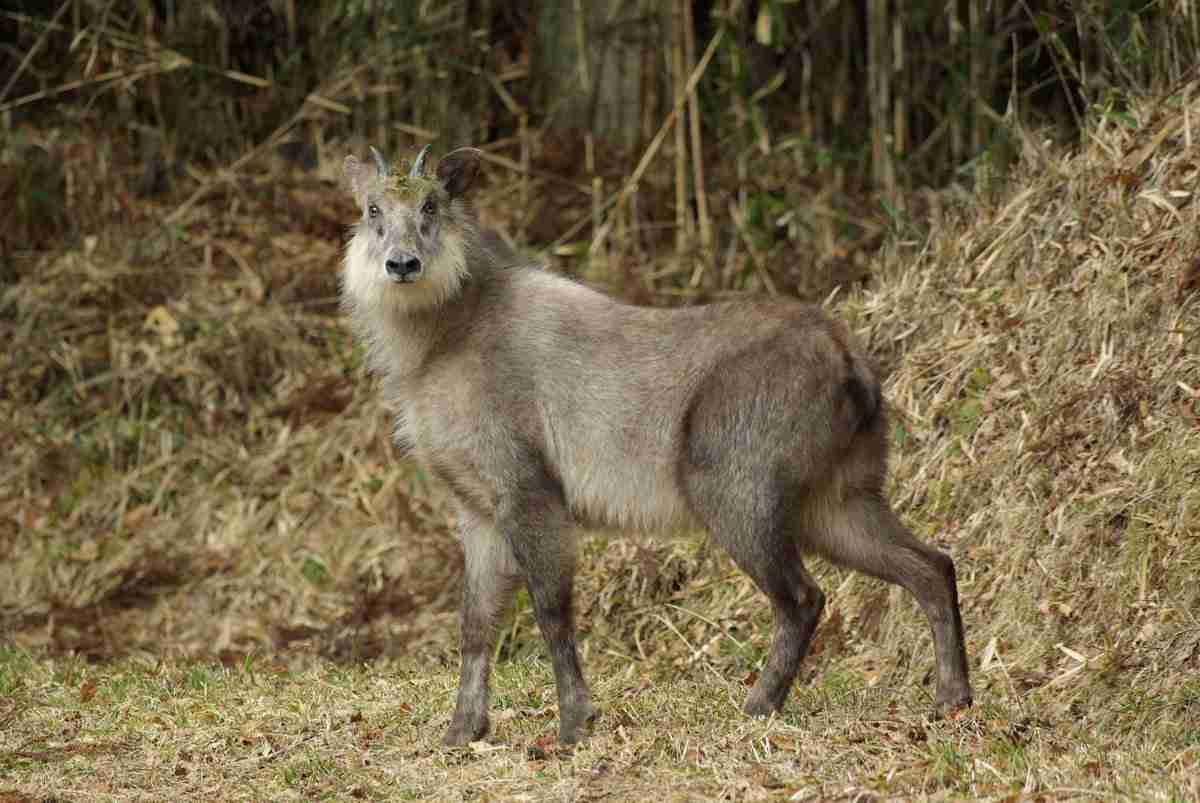 建国記念日♪日本の好きなところを語ろう☆