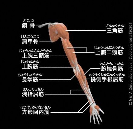 なかなか共感されないフェチ(男性編)