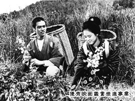最高に泣けた小説はなんですか？