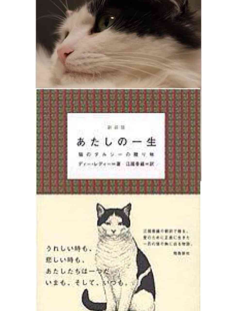 最高に泣けた小説はなんですか？