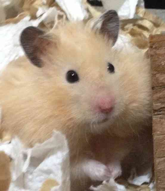 今とても悲しく辛い方、集まりませんか