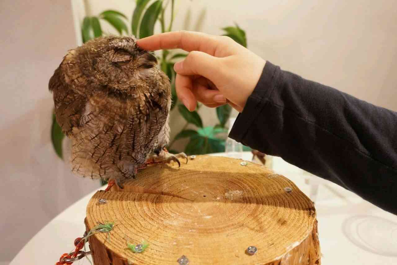 思いのほか面白かった所