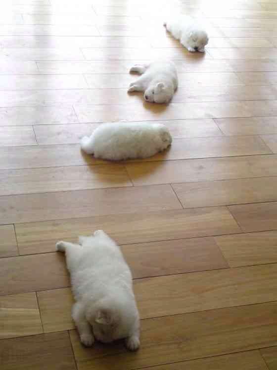 あなたが一番好きな画像