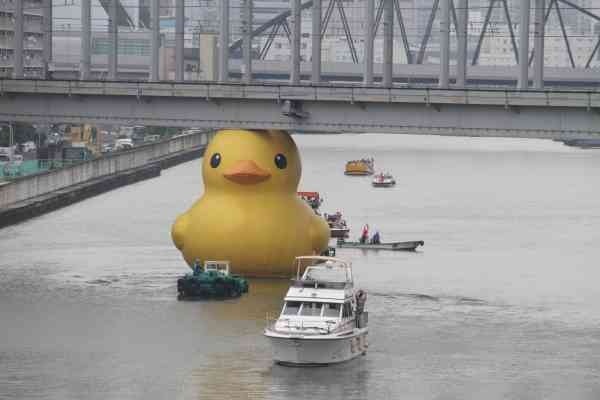 あなたが一番好きな画像