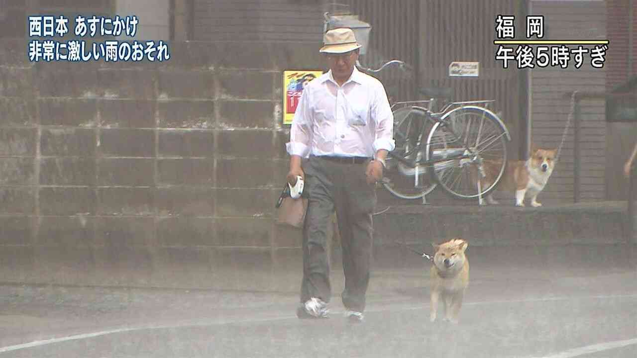 あなたが一番好きな画像