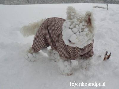 あなたが一番好きな画像