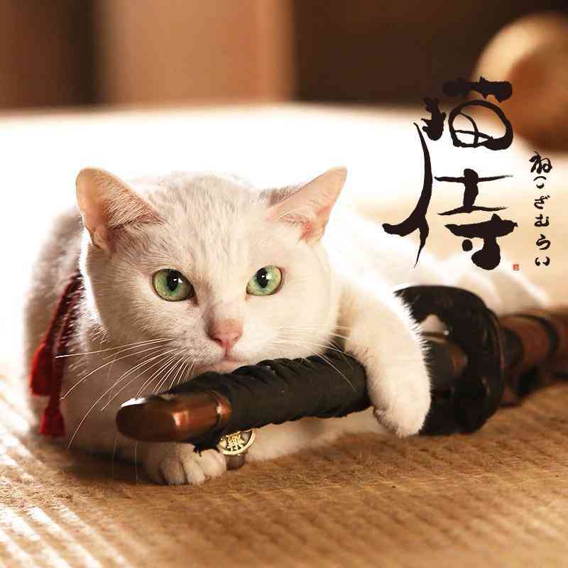 あなたが一番好きな画像