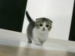 あなたが一番好きな画像